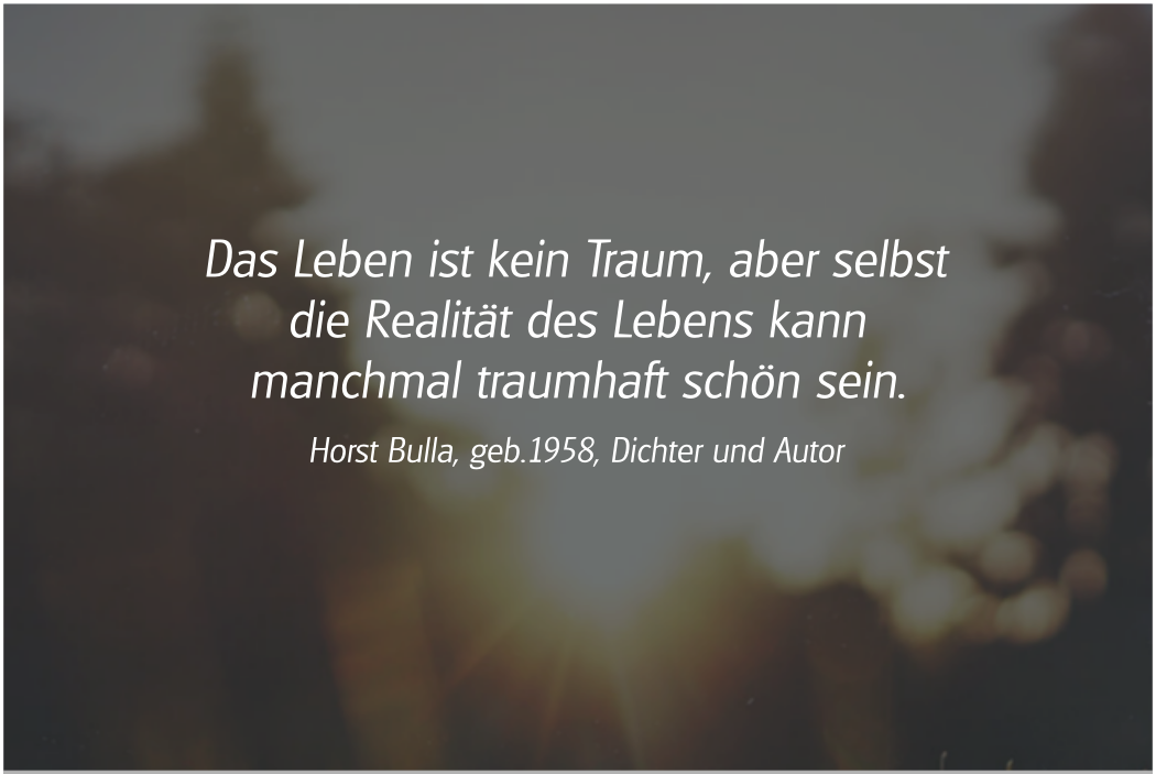 Spruch: Das Leben ist kein Traum. Horst Bulla