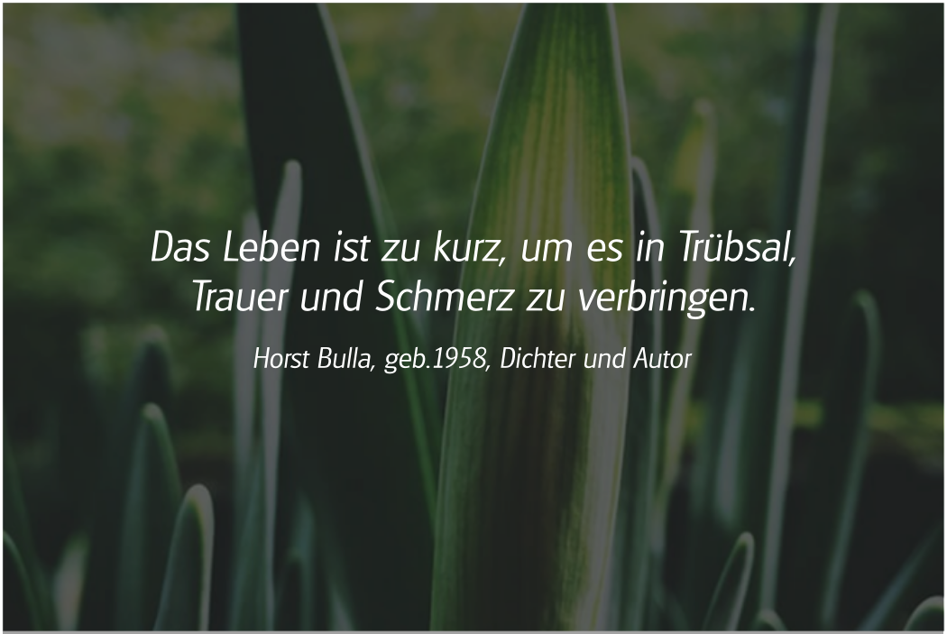 Spruch: Das Leben ist zu kurz. Horst Bulla