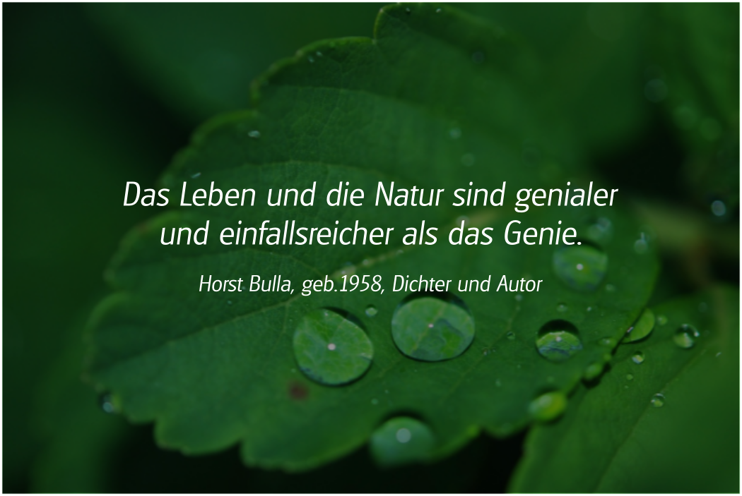 Spruch: Das Leben und die Natur. Horst Bulla