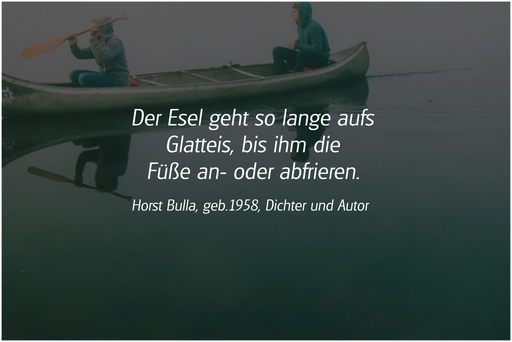 Spruch: Der Esel geht so lange aufs Glatteis. Horst Bulla