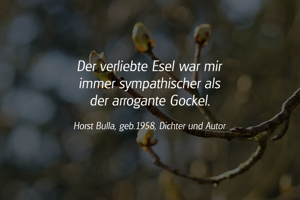 Spruch: Der verliebte Esel. Horst Bulla