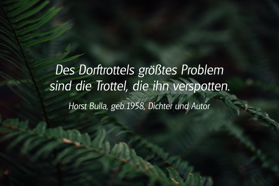 Spruch: Des Dorftrottels größtes Problem. Horst Bulla