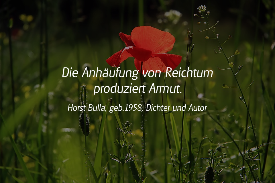 Spruch: Die Anhäufung von Reichtum produziert Armut. Horst Bulla