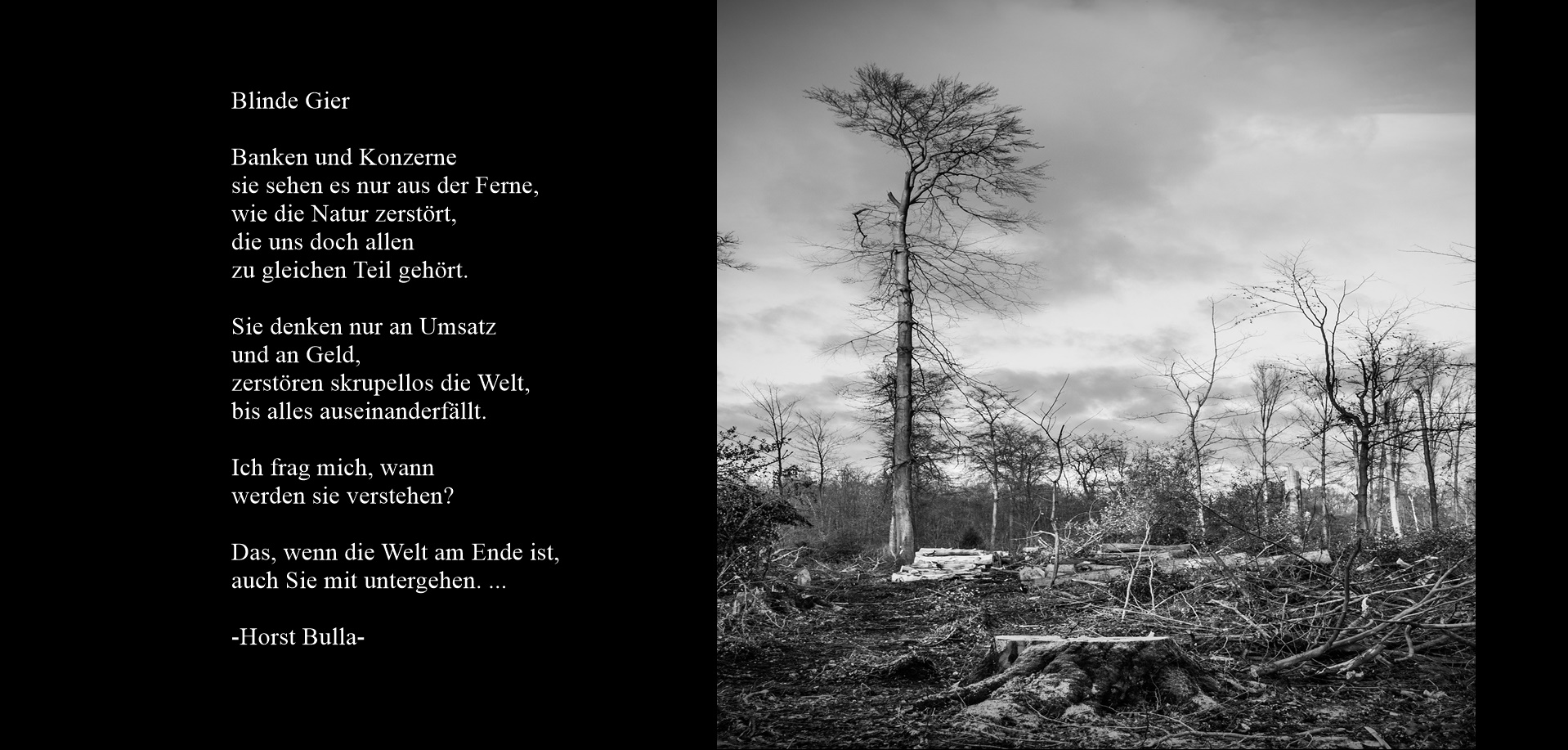 "Blinde Gier" ein Gedicht von Horst Bulla